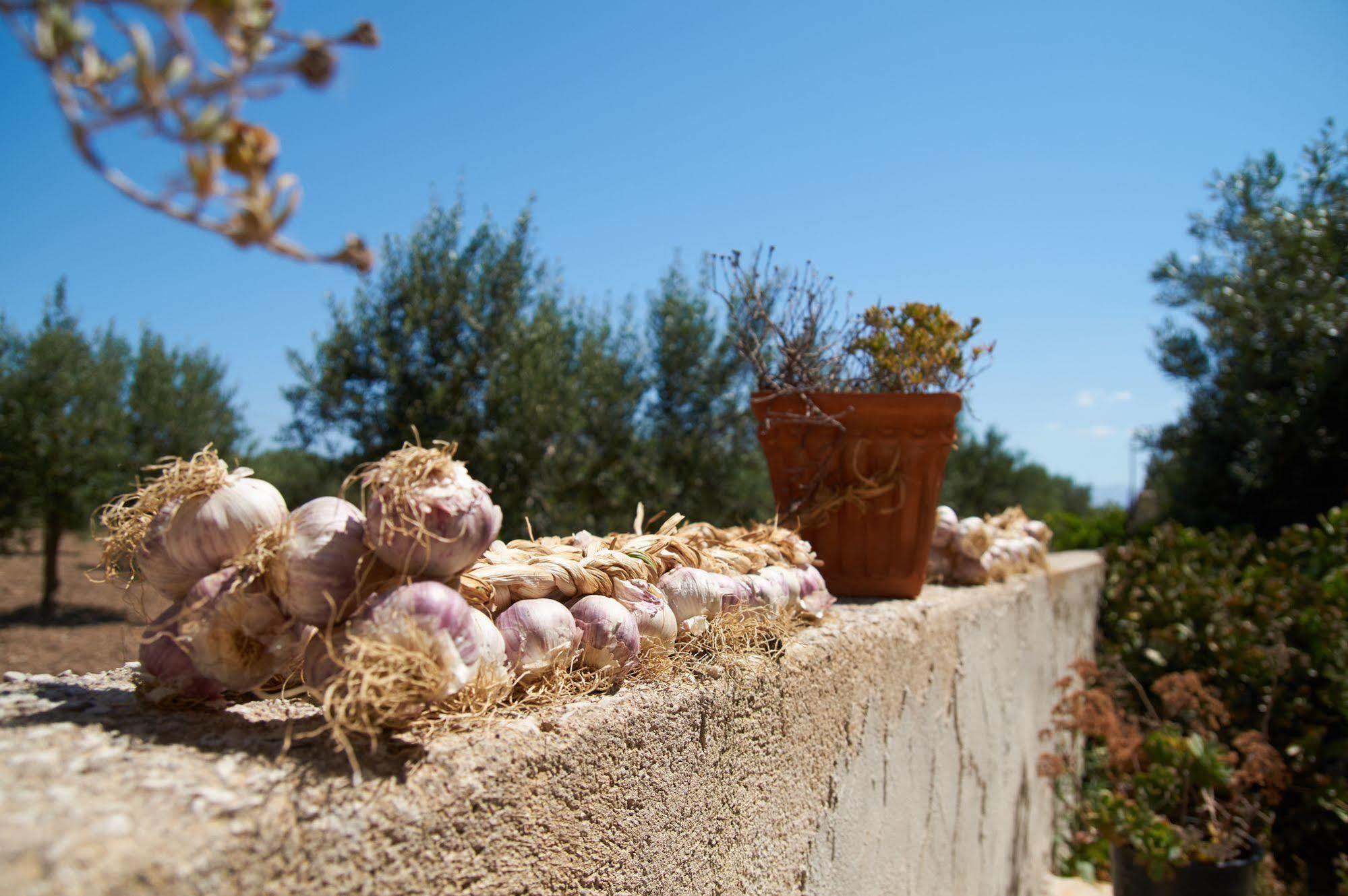 Bed and Breakfast Casolare Nelle Saline Torre Nubia Exterior foto